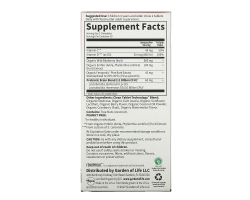 Garden of Life, Dr. Formulated для мозга, внимания и концентрации у детей, вкус органического арбуза и ягод, 60 вкусных жевательных таблеток