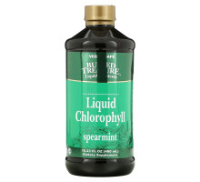 Buried Treasure, Liquid Chlorophyll, Spearmint, 16.23 fl oz (480 ml)