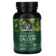 PlantFusion, Vegan Planet-Based Calcium, 1,000 mg, 90 Tablets
