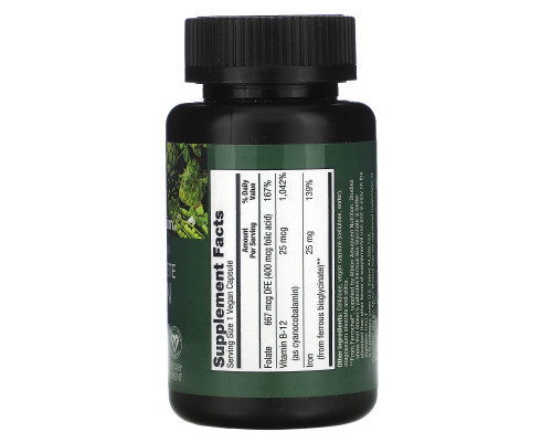 PlantFusion, Vegan Complete Iron, 25 mg, 90 Vegan Capsules PlantFusion, Vegan Complete Iron, 25 mg, 90 Vegan Capsules