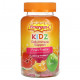 Детское здоровье Emergen-C, Ежедневная поддержка иммунитета для детей, Fruit Fiesta, 44 жевательные мармеладки