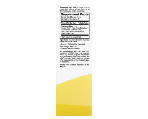 Детское здоровье Super Nutrition, Kid's Liquid Bronchial Ease, без спирта, вишня, 30 мл (1 жидк. унция) Детское здоровье Super Nutrition, Kid's Liquid Bronchial Ease, без спирта, вишня, 30 мл (1 жидк. унция)