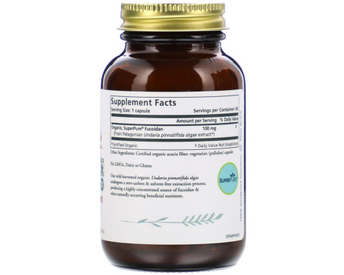Pure Synergy, SuperPure Fucoidan, 60 Capsules Pure Synergy, SuperPure Fucoidan, 60 Capsules