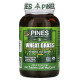 Pines International, Трава пшеницы, 500 мг, 250 таблеток