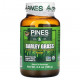 Зелень и зеленые овощи Pines International, Порошок из травы ячменя, 100 г (3,5 унции)