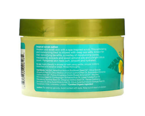 Alba Botanica Скраб для тела с морской солью 14.5 унций (411 г) Alba Botanica Скраб для тела с морской солью 14.5 унций (411 г)