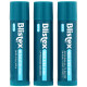 Blistex, Бальзам для губ с лечебным действием, Защита губ / Солнцезащитный фильтр SPF 15, в упаковке 3 бальзама, 0,15 унции (4,25 г) каждый