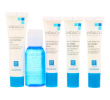 Andalou Naturals Get Started Clarifying Основы ухода за кожей, для питания и увлажнения кожи лица, Набор из 5 штук