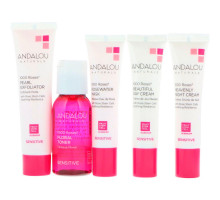 Andalou Naturals Набор для ухода за чувствительной кожей Get Started 1000 роз, питание и увлажнение, набор из 5 средств
