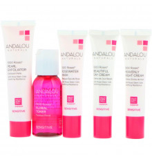 Andalou Naturals Набор для ухода за чувствительной кожей Get Started 1000 роз, питание и увлажнение, набор из 5 средств