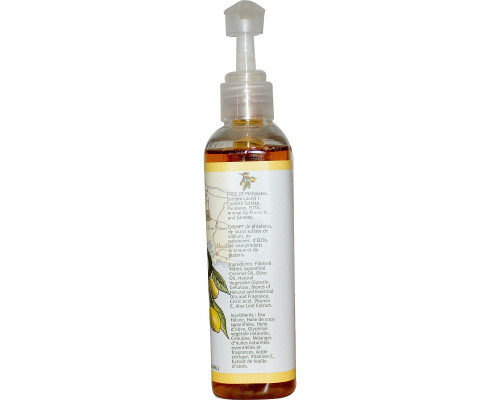 South of France Lemon Verbena Hand Wash with Soothing Aloe Vera 8 oz (236 ml) South of France Lemon Verbena Hand Wash with Soothing Aloe Vera 8 oz (236 ml)