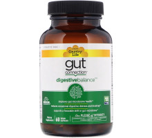 Country Life, Gut Connection, Digestive Balance, 60 Vegan Capsules
