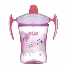 NUK, Evolution Soft Spout Cup, 6 + Months, 2 Cups, 8 oz (240 ml) Each