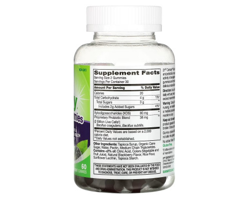 21st Century, Vita Joy Gummies, Pre & Probiotic, Blackberry, 60 Gummies 21st Century, Vita Joy Gummies, Pre & Probiotic, Blackberry, 60 Gummies