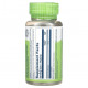 Женское здоровье Solaray, True Herbs, дамиана, 370 мг, 100 растительных капсул
