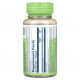 Мужское здоровье Solaray, True Herbs Saw Palmetto, 580 мг, 50 вегетарианских капсул