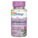 БАДы для укрепления иммунитета Vital Extracts, Astragalus, 200 mg , 30 VegCaps
