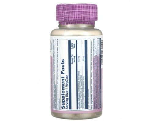 БАДы для укрепления иммунитета Vital Extracts, Astragalus, 200 mg , 30 VegCaps БАДы для укрепления иммунитета Vital Extracts, Astragalus, 200 mg , 30 VegCaps