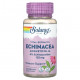 Эхинацея Solaray, Vital Extracts, Echinacea Angustifolia, 125 mg, 60 VegCaps