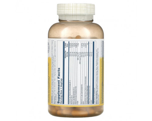 Витамины группы B Vitamin B-Complex 100 , 250 VegCaps Витамины группы B Vitamin B-Complex 100 , 250 VegCaps