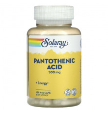 Витамины группы B Pantothenic Acid, 500 mg, 100 VegCaps