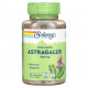 БАДы для укрепления иммунитета True Herbs, Astragalus, 400 mg, 180 VegCaps