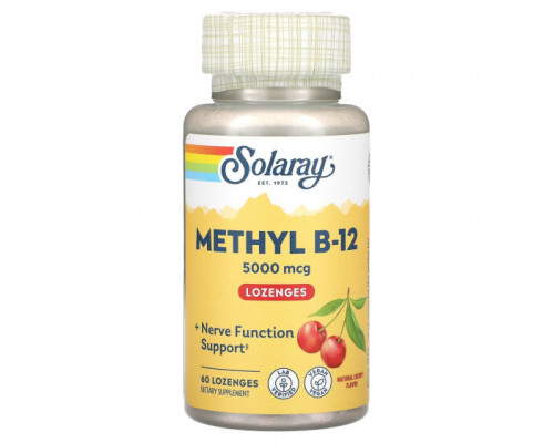 Витамины группы B Solaray, Mega Potency Methyl B-12, натуральный вишневый вкус, 5000 мкг, 60 лепешек Витамины группы B Solaray, Mega Potency Methyl B-12, натуральный вишневый вкус, 5000 мкг, 60 лепешек