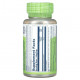 Для пищеварительной системы Sweet Wormwood, 300 mg, 100 VegCaps