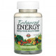 Витаминно-минеральные комплексы Enhanced Energy, Whole Food Multivitamin, 90 Vegetarian Tablets
