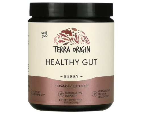 Terra Origin, Healthy Gut, Berry, 8.57 oz (243 g)