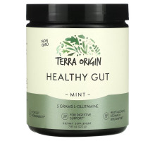 Terra Origin, Healthy Gut, Mint, 7.83 oz (222 g)