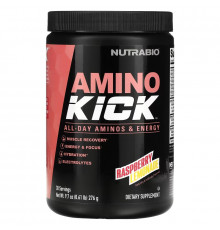 Nutrabio Labs, Amino Kick, Raspberry Lemonade, 0.61 lb (276 g)