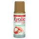 Kyolic, Aged Garlic Extract, Liquid, 2 fl oz (60 ml)