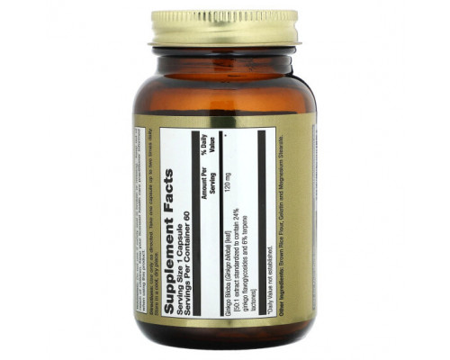 Гинкго Билоба LifeTime Vitamins, экстракт гинкго билоба, 120 мг, 60 капсул Гинкго Билоба LifeTime Vitamins, экстракт гинкго билоба, 120 мг, 60 капсул