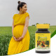 Женское здоровье NaturesPlus, Source of Life Prental`` 90 таблеток