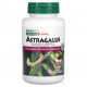 БАДы для укрепления иммунитета Herbal Actives, Astragalus, 450 mg, 60 Vegan Capsules