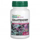 Фрукты и ягоды NaturesPlus, Herbal Actives, Chasteberry, 150 мг, 60 веганских капсул