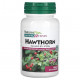 Для сердца и сосудов NaturesPlus, Herbal Actives, боярышник, 150 мг, 60 веганских капсул