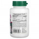 От гриппа и простуды Herbal Actives, Immun Actin, Zinc Lozenges, Wild Cherry, 60 Lozenges