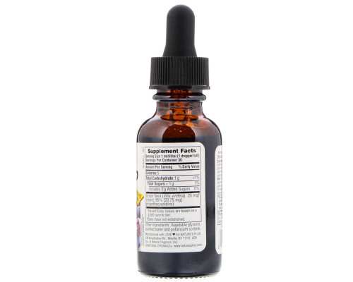Nature's Plus, Herbal Actives, Косточки винограда, без спирта, 25 мг, 1 жидкая унция (30 мл) Nature's Plus, Herbal Actives, Косточки винограда, без спирта, 25 мг, 1 жидкая унция (30 мл)
