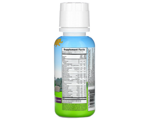 Nature's Plus, Источник жизни, парад животных, жидкий, детский мультивитамин, природный тропический ароматизатор, 236,56 мл (8 жидких унций) Nature's Plus, Источник жизни, парад животных, жидкий, детский мультивитамин, природный тропический ароматизатор, 236,56 мл (8 жидких унций)