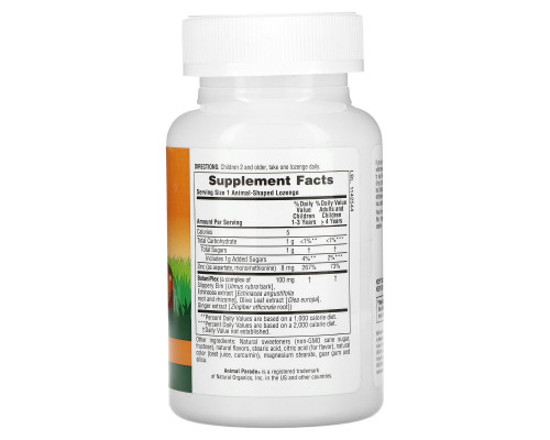 Nature's Plus, Источник жизни, Пастилки с цинком для детей в форме животных с натуральным вкусом мандарина, 90 животных Nature's Plus, Источник жизни, Пастилки с цинком для детей в форме животных с натуральным вкусом мандарина, 90 животных
