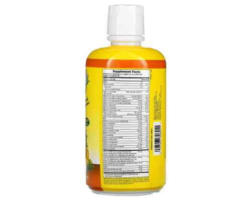 NaturesPlus, Source of Life, жидкая мультивитаминная и минеральная добавка с концентратами цельных продуктов, со вкусом тропических фруктов, 887,10 мл (30 жидк. унций) NaturesPlus, Source of Life, жидкая мультивитаминная и минеральная добавка с концентратами цельных продуктов, со вкусом тропических фруктов, 887,10 мл (30 жидк. унций)
