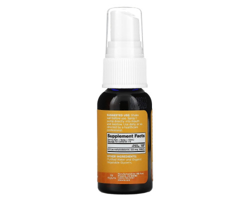 Pure Vegan, Спрей с B-12, 500 мкг, 1 жидкая унция Pure Vegan, Спрей с B-12, 500 мкг, 1 жидкая унция