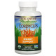 Fungi Perfecti Host Defense Кордицепс 120 растительных капсул