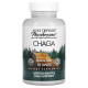 Fungi Perfecti, Host Defense, чага, 120 растительных капсул