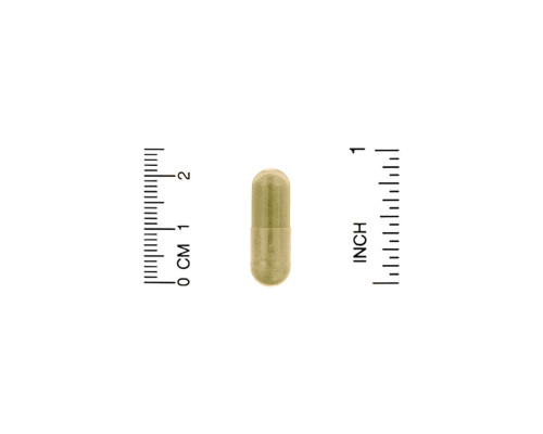 Oregon's Wild Harvest Alfalfa 90 Non-GMO Veggie Caps Oregon's Wild Harvest Alfalfa 90 Non-GMO Veggie Caps