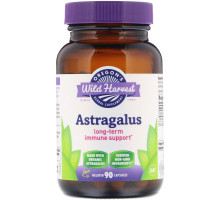 Oregon's Wild Harvest Astragalus 90 Veggie Caps