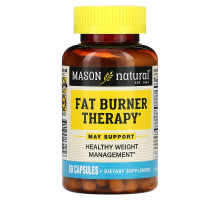 Mason Natural, Сжигатель жира с пиколинатом хрома, L-карнитином и железом, 60 капсул