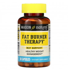 Mason Natural, Сжигатель жира с пиколинатом хрома, L-карнитином и железом, 60 капсул